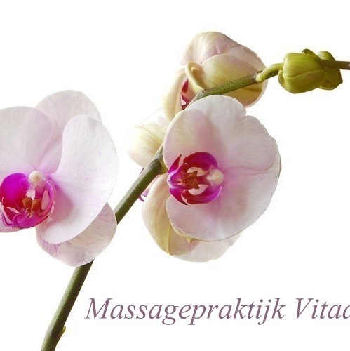 Foto 2 Massagepraktijk Vitaal