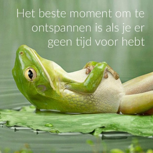 Foto 1 Massagepraktijk Sensa