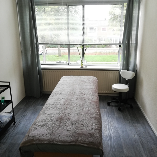 Foto 2 Massagepraktijk Agisa Zeist