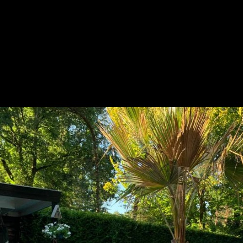 Foto 1 De Masseur Bij U Thuis